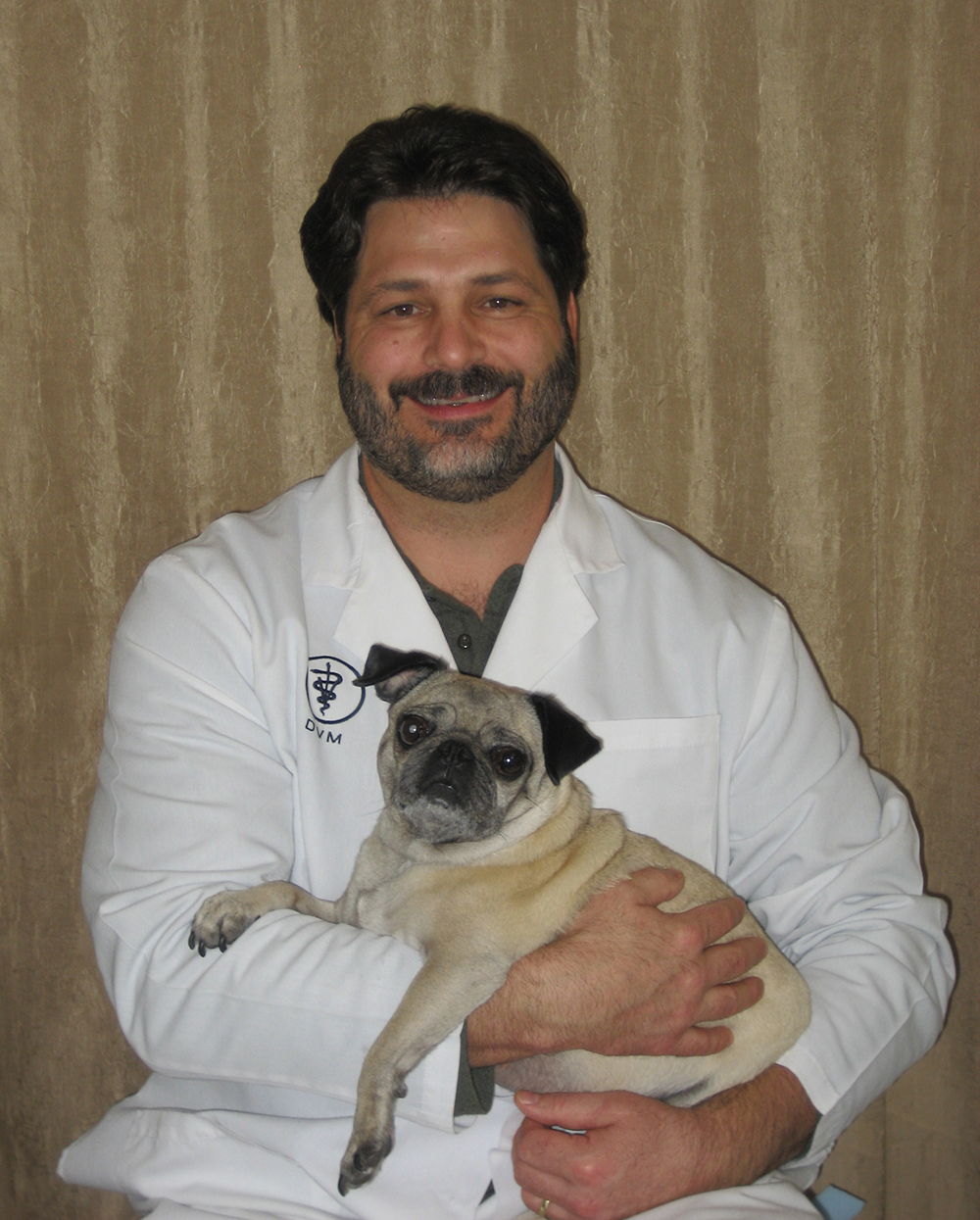 dog-canine-puppy-surgery-surgeon-doctor-clinic-hospital-vet-veterinarian-animal-pet-tplo-todd-allen-mobile-stlouis-missouri-local